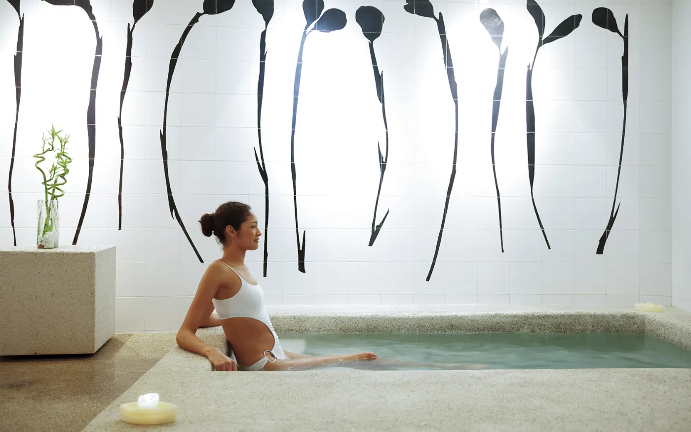Hydrotherapy pool at Armonia Spa