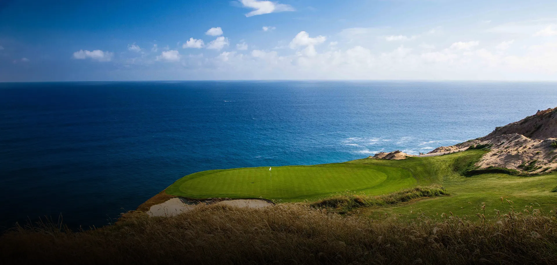 A green perched on a clifftop above the Pacific at Quivira, Los Cabos