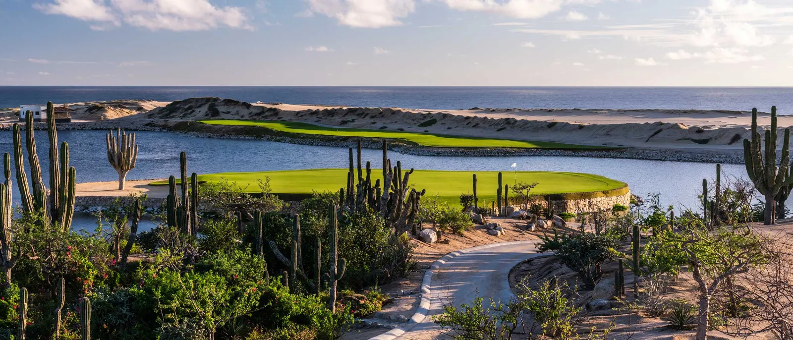 Solmar Golf Links signature hole with cactus in the foreground and the Pacific behind